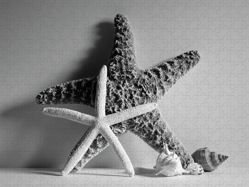 Starfishes Jigsaw Puzzle featuring the photograph Starfishes and Seashells 2 by Angie Tirado