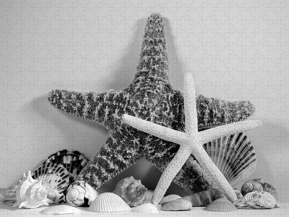 Starfish Jigsaw Puzzle featuring the photograph Starfishes and Seashells 3 by Angie Tirado