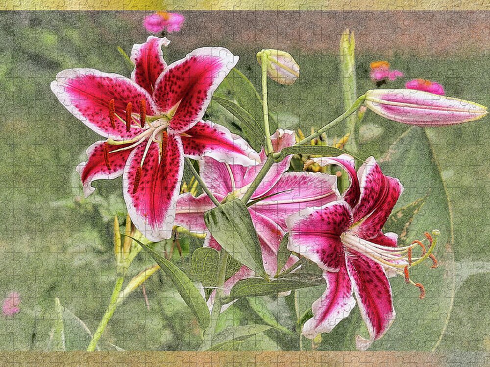 Lilies Jigsaw Puzzle featuring the photograph Stargazer Lilies Stars of Summer by Ola Allen