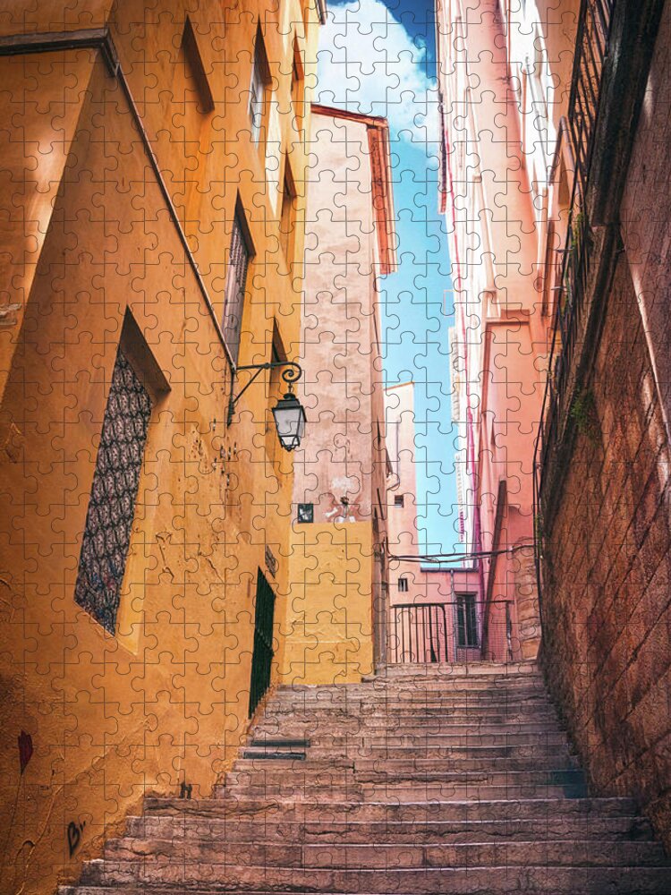 Lyon Jigsaw Puzzle featuring the photograph Steep Steps of Passage Thiaffait Lyon France by Carol Japp