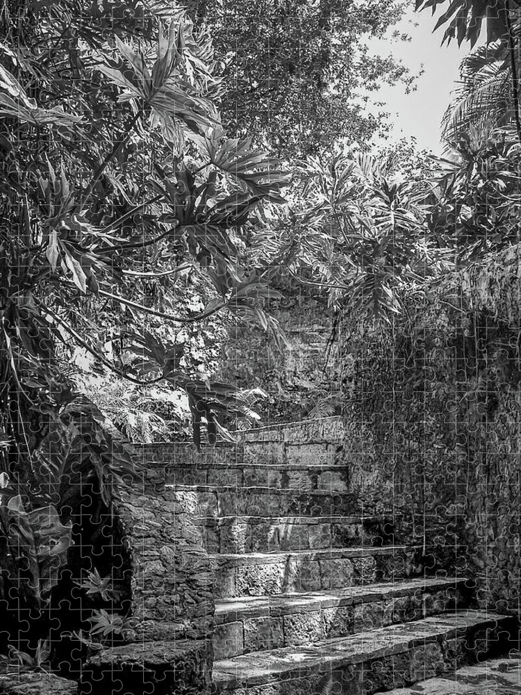 Chichen Itza Jigsaw Puzzle featuring the photograph Steps Near Cenote Chichen Itza by Frank Mari
