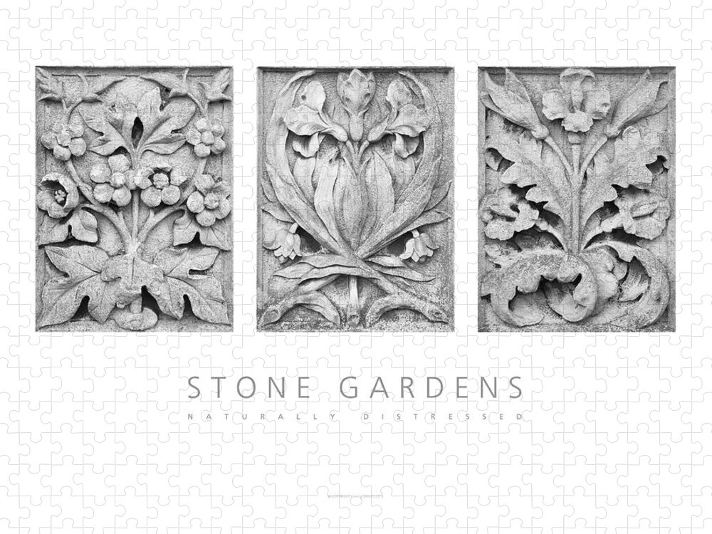 Flora Sculpture Reliefs Jigsaw Puzzle featuring the photograph Stone Gardens 2 Naturally Distressed Poster by David Davies