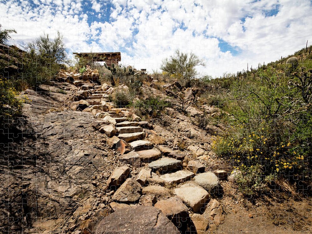 Canyon Jigsaw Puzzle featuring the photograph Stone stairs to desert picnic oasis by Craig A Walker