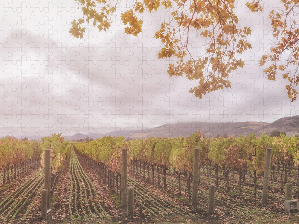 Season Jigsaw Puzzle featuring the photograph Storm Over Vines by Jonathan Nguyen