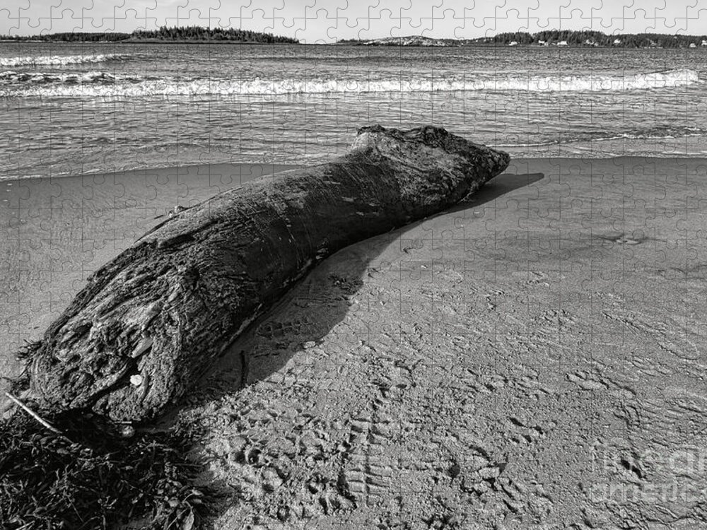 Popham Jigsaw Puzzle featuring the photograph Stranded Beast on Popham Beach by Olivier Le Queinec