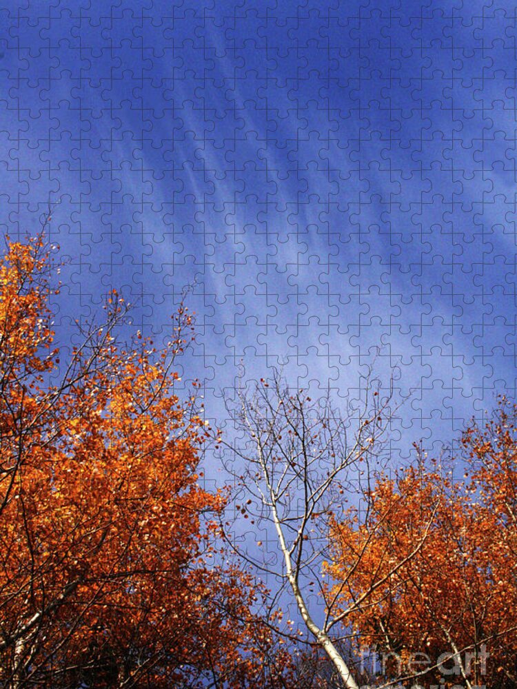 Canada Jigsaw Puzzle featuring the photograph Streaks of Autumn by Mary Mikawoz