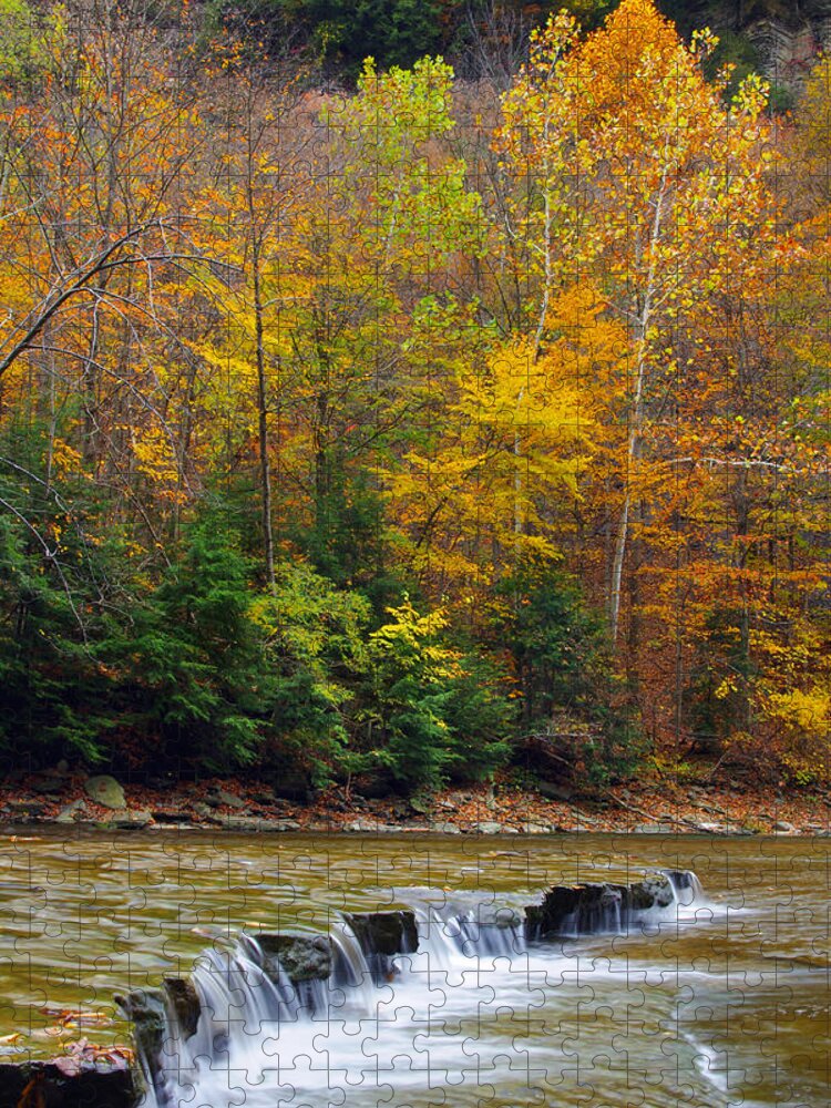 Landscape Jigsaw Puzzle featuring the photograph Colorful Trees Surrounding Flowing Stream by Kenneth Lane Smith