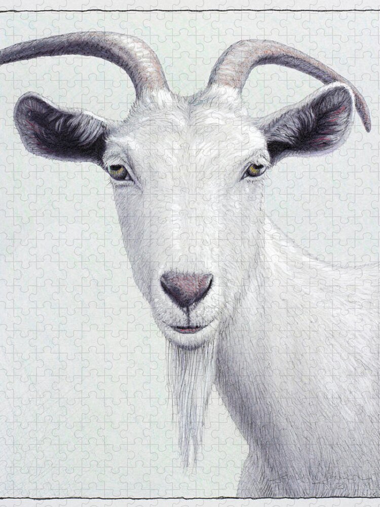 White Jigsaw Puzzle featuring the painting Study of a White Goat by James W Johnson