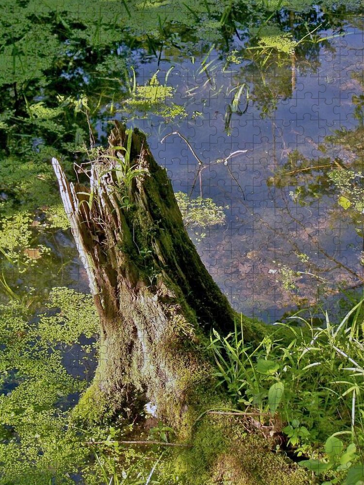 Stump Jigsaw Puzzle featuring the photograph Stump by Julie Grace