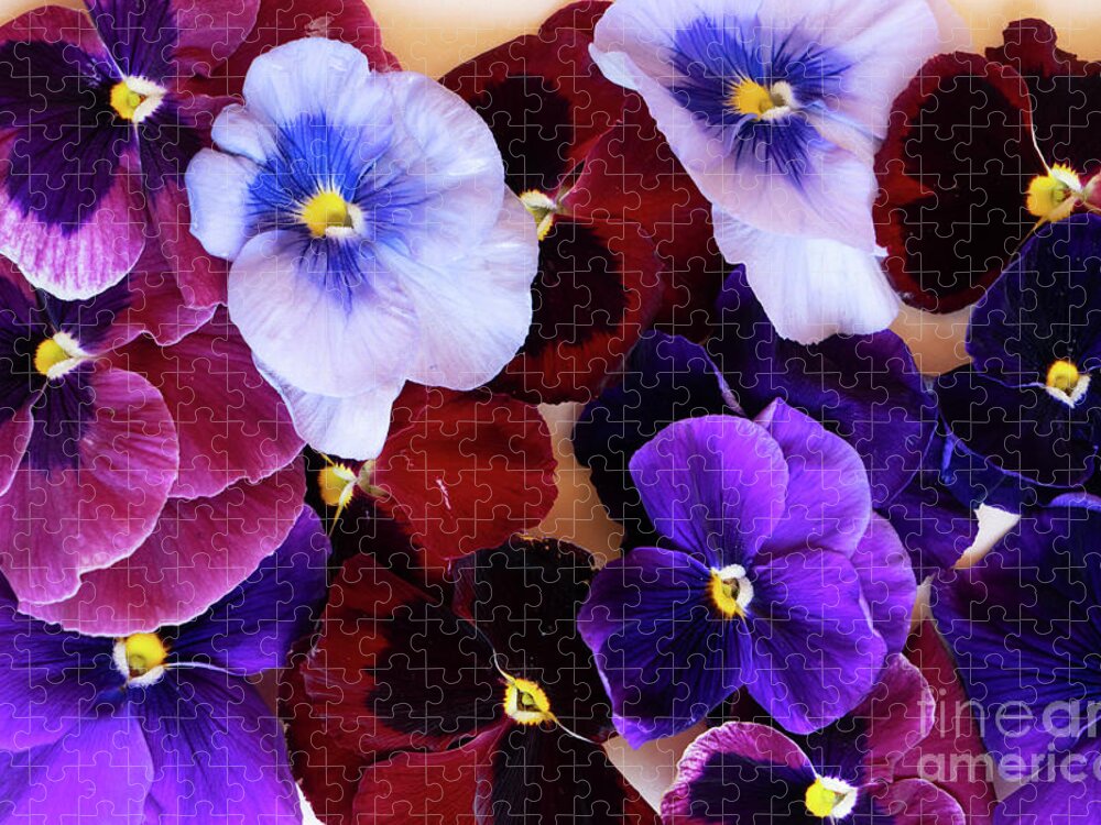 Wildflower Jigsaw Puzzle featuring the photograph Styled Pansies by Anastasy Yarmolovich
