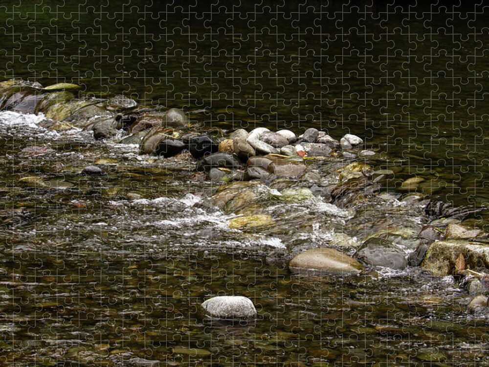 River Jigsaw Puzzle featuring the photograph Summer Day on Satsop River by Cheryl Day