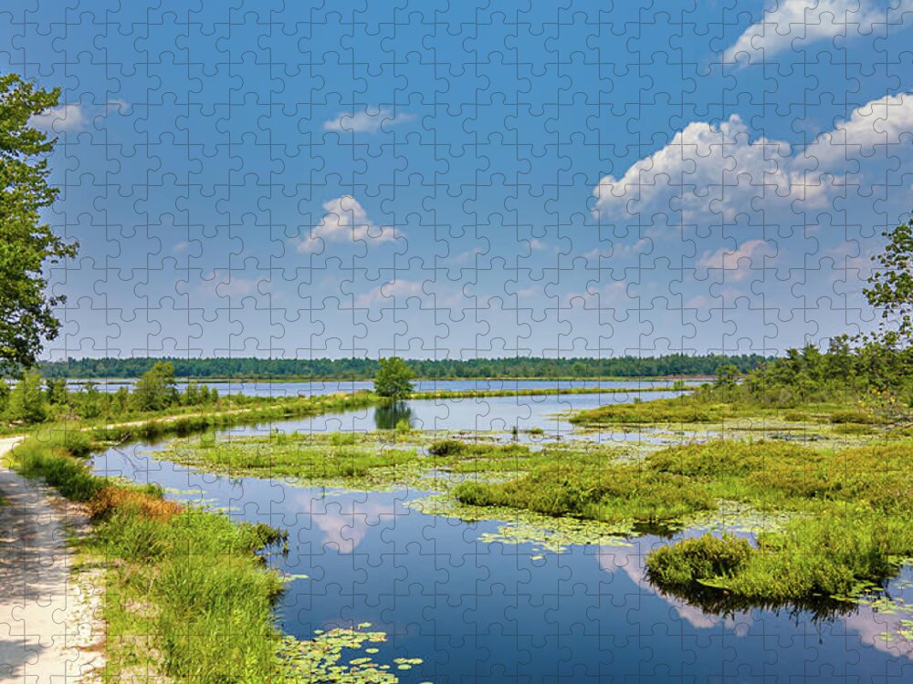 Grass Jigsaw Puzzle featuring the photograph Summer Landscape at Whites Bog by Louis Dallara