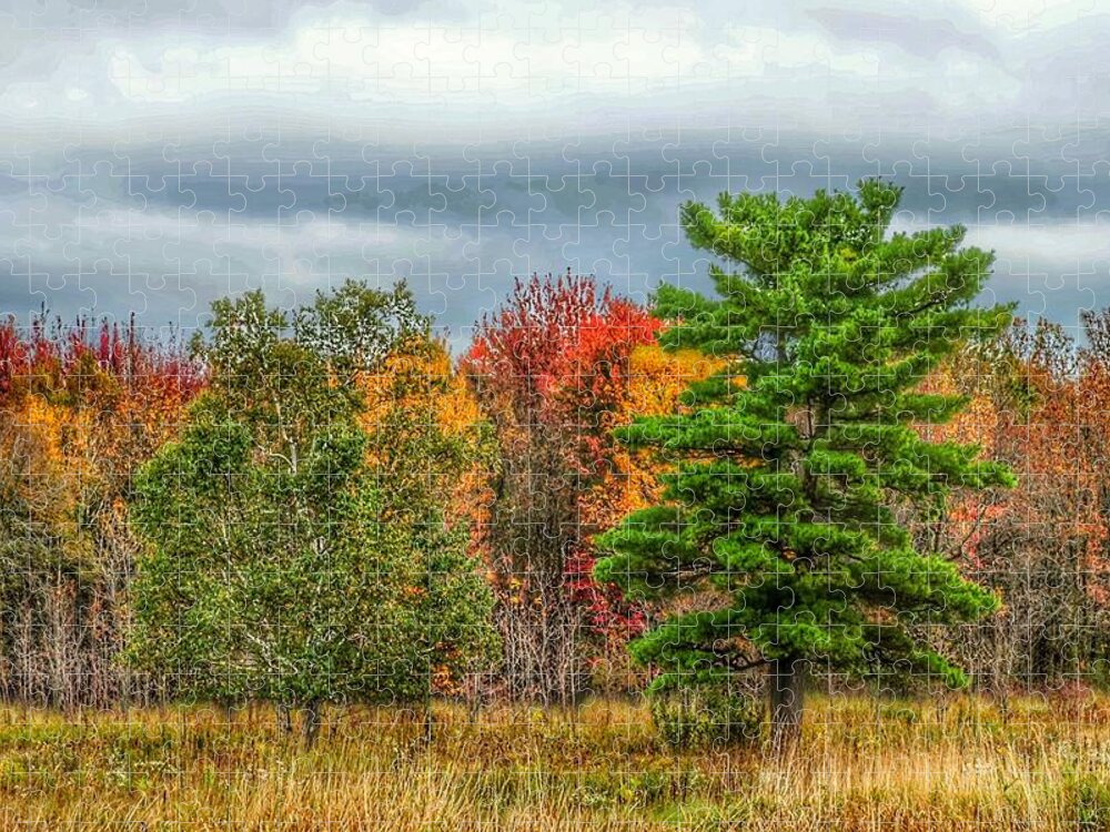 Fall Woods Tree New York Chicago Minneapolis Twin Cities St Paul Jigsaw Puzzle featuring the photograph Summer's End by Windshield Photography