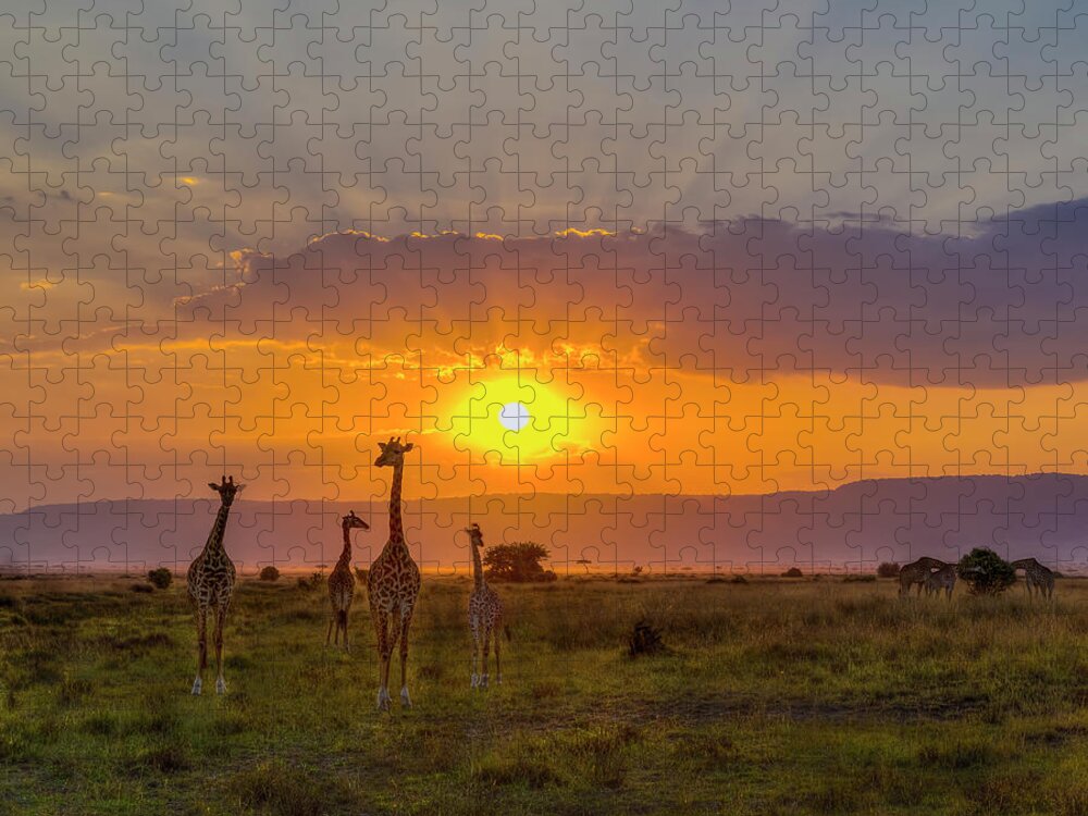 Africa Jigsaw Puzzle featuring the photograph Sun Flaring Giraffes by Laura Hedien