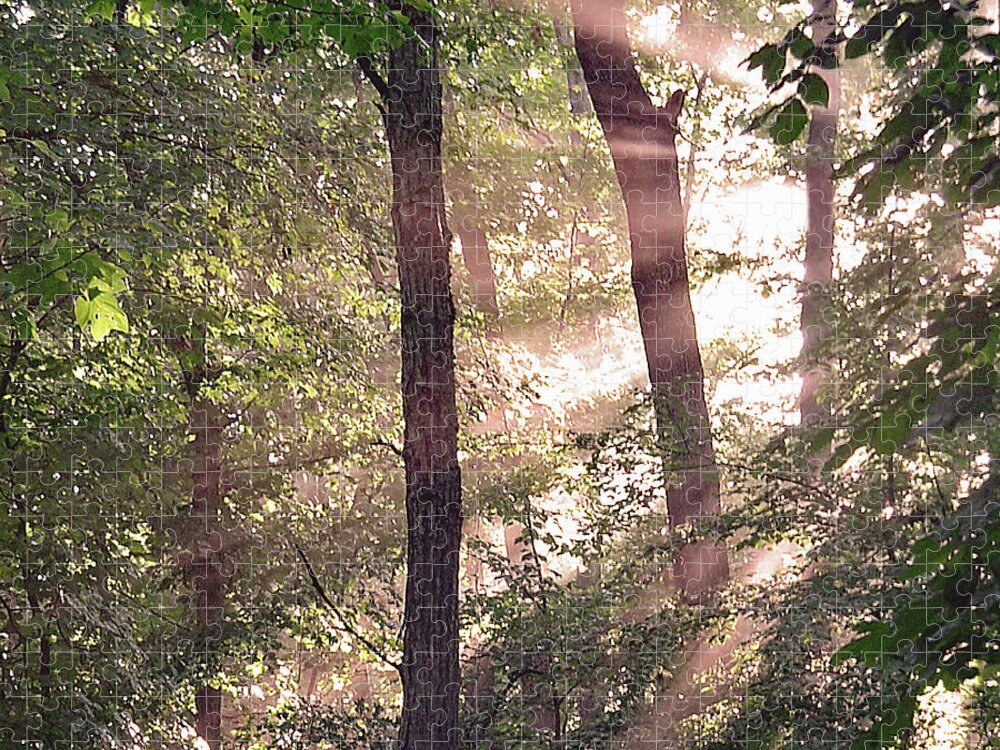 Trees Jigsaw Puzzle featuring the digital art Sun Rays in Virginia by Nancy Olivia Hoffmann