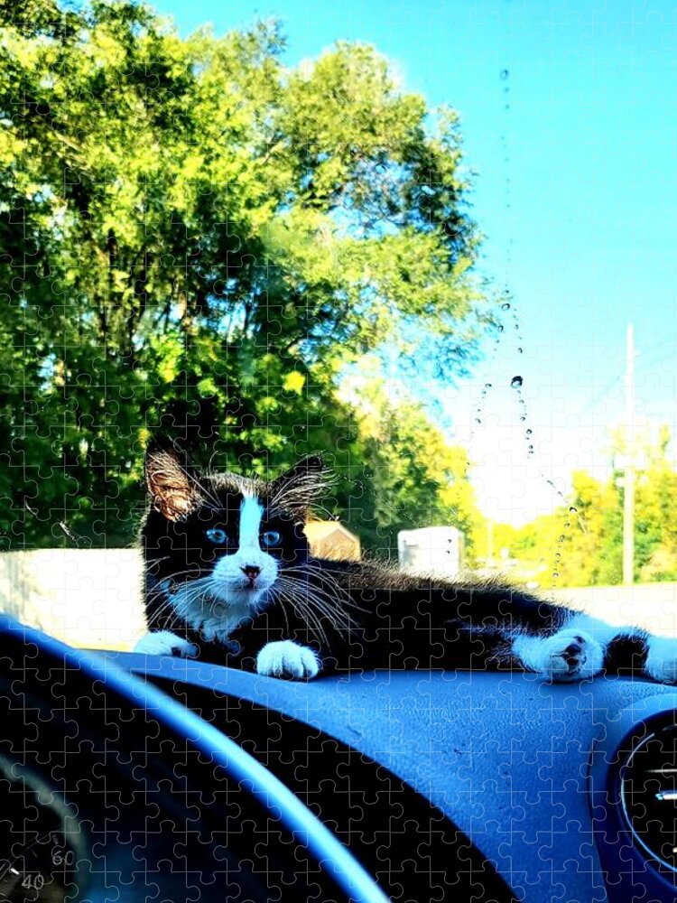 Sun Jigsaw Puzzle featuring the photograph Sunbathing on the dash by Shalane Poole