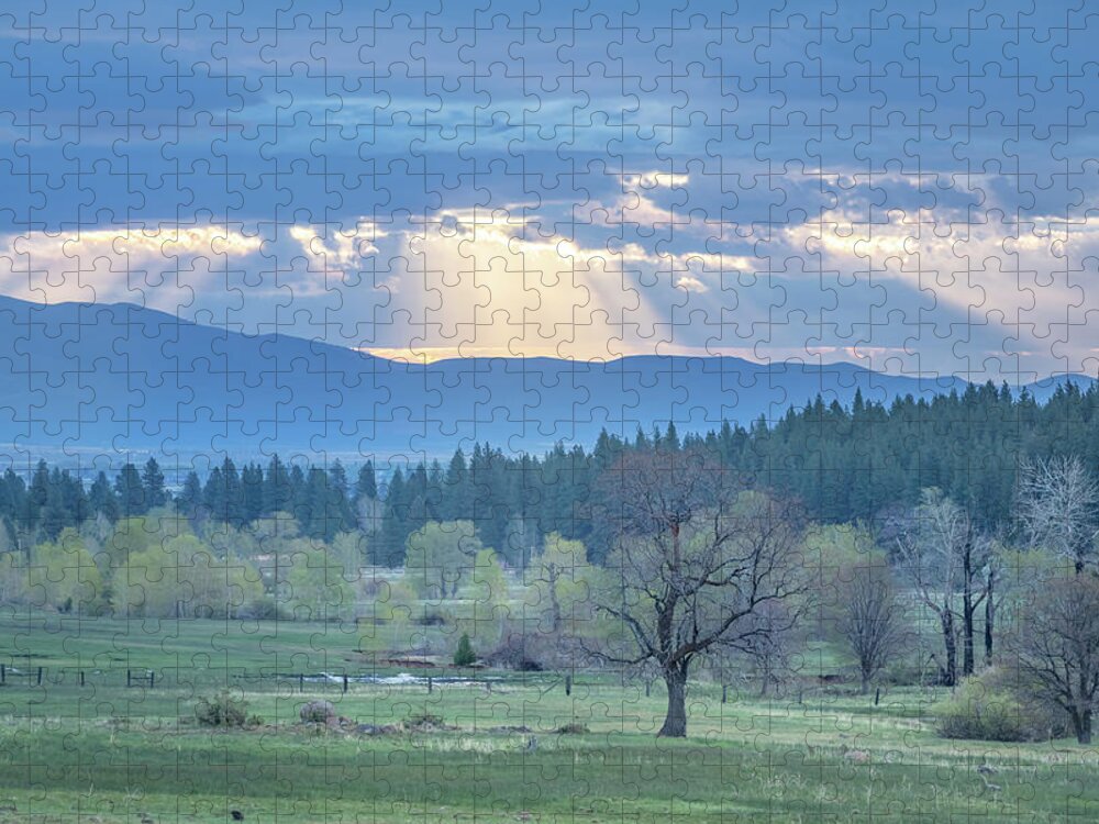 Sunbeam Jigsaw Puzzle featuring the photograph Sunbeam Meadow by Randy Robbins