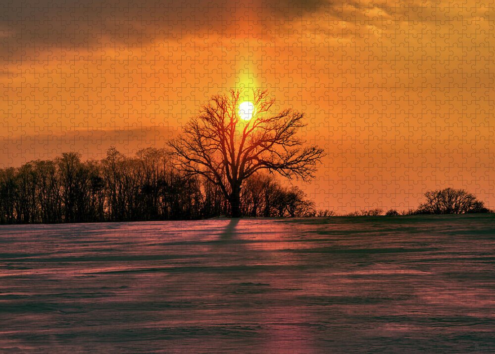 Oak Jigsaw Puzzle featuring the photograph Suncatcher - sunset with sun pillar behind a solitary oak tree in winter WI field by Peter Herman
