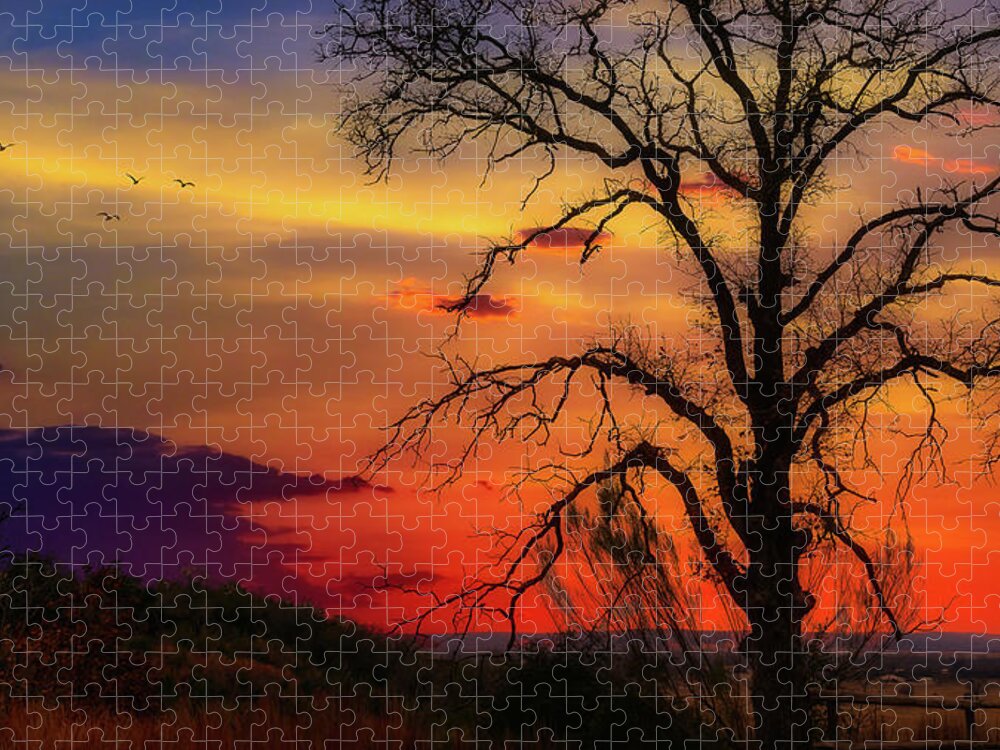 Sundown Jigsaw Puzzle featuring the photograph Sundown by G Lamar Yancy