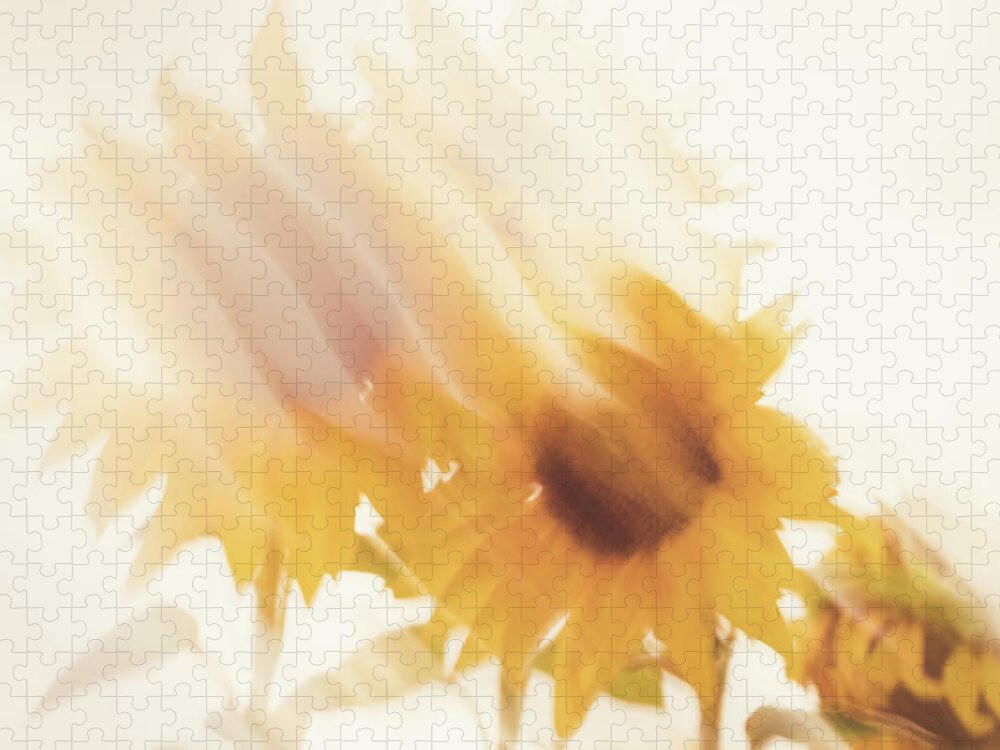 Sunflower Jigsaw Puzzle featuring the photograph Sunflower Dreams Abstract by Ada Weyland