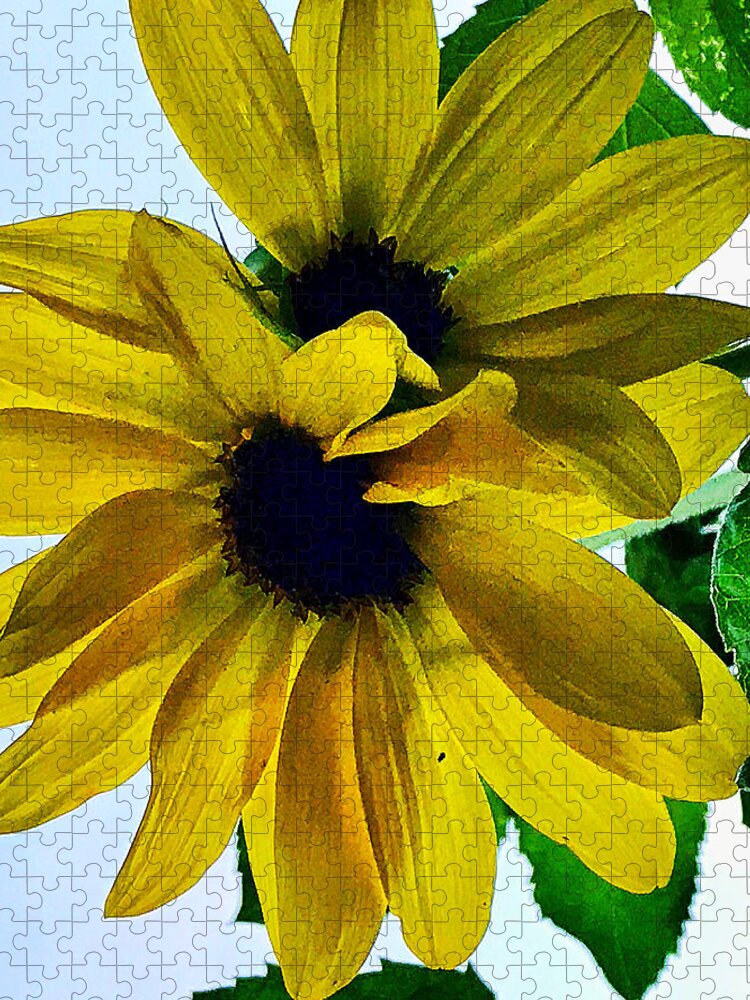  Jigsaw Puzzle featuring the photograph Sunflowers by Stephen Dorton