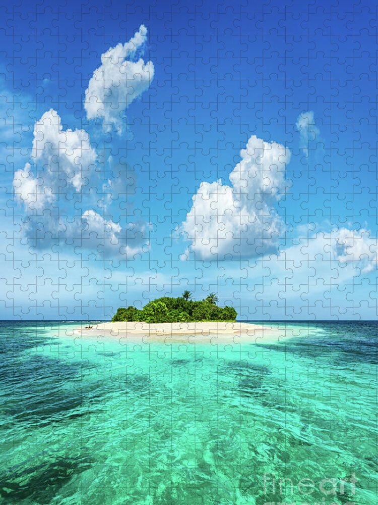 Tropical Island jigsaw puzzle in Puzzle of the Day puzzles on