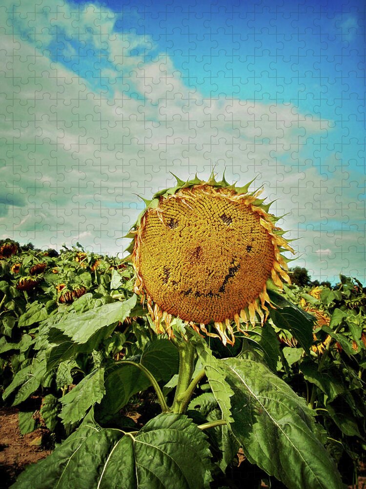 Summer Jigsaw Puzzle featuring the photograph Sunny Disposition by Carrie Ann Grippo-Pike