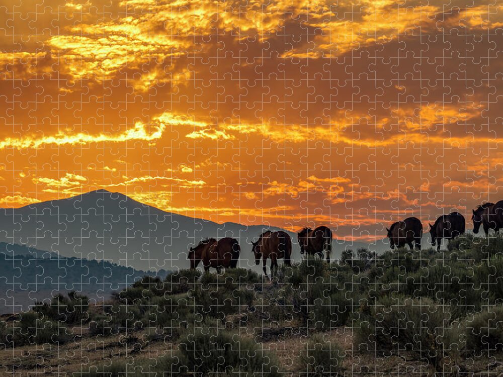  Jigsaw Puzzle featuring the photograph Sunny's sunrise by John T Humphrey