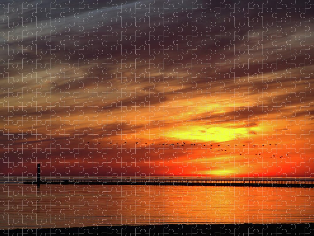 Sunrise Jigsaw Puzzle featuring the photograph Sunrise and Geese at Charlotte Pier by Flinn Hackett