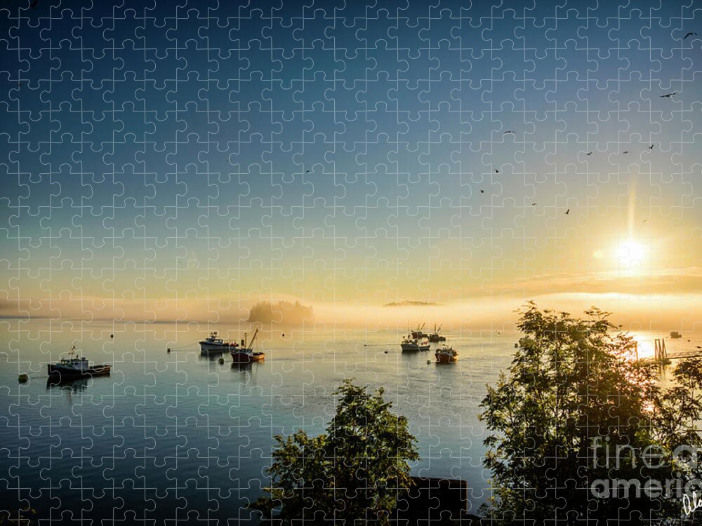 Eastern Most Point Of Usa Jigsaw Puzzle featuring the photograph Sunrise and Seagulls by Alana Ranney
