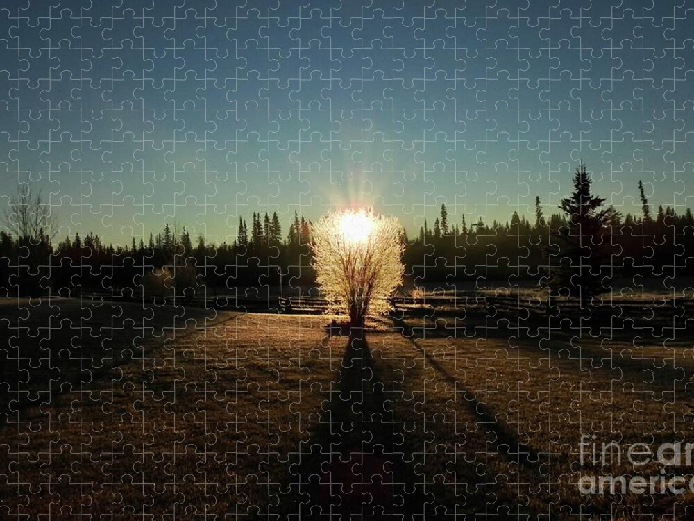 Sunrise Jigsaw Puzzle featuring the photograph Sunrise by Nicola Finch
