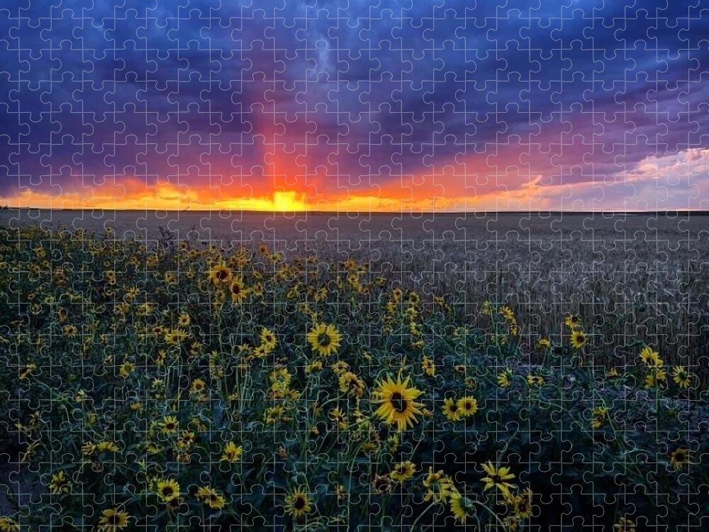 Sunset Jigsaw Puzzle featuring the photograph Sunset 1 by Julie Powell