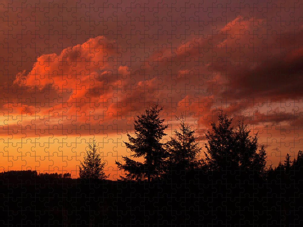 Silhouette Jigsaw Puzzle featuring the photograph Sunset and Silhouettes by Loyd Towe Photography