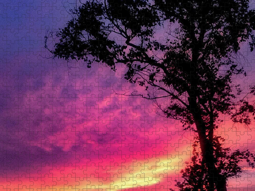 Landscape  Sunset   Jigsaw Puzzle featuring the photograph Sunset behind a tree by Kelsea Peet