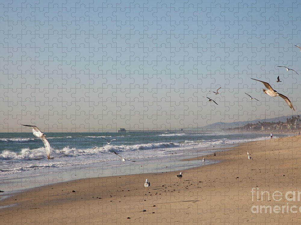 Carlsbad Beach Jigsaw Puzzle featuring the photograph Sunset Bird Flight by Catherine Walters