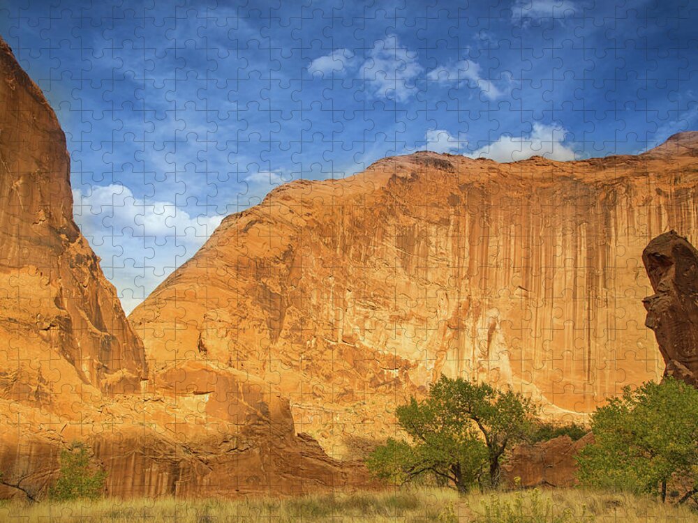 Faa_export Jigsaw Puzzle featuring the photograph Sunset in Escalante National Monument by Kunal Mehra