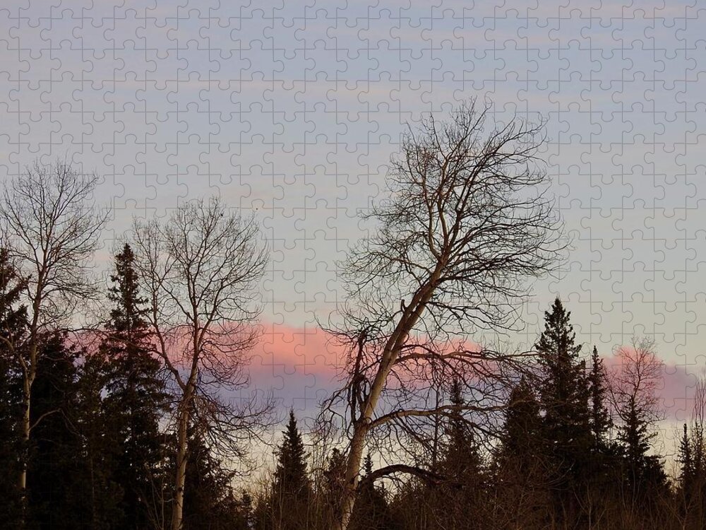 Sunset Jigsaw Puzzle featuring the photograph Sunset by Nicola Finch