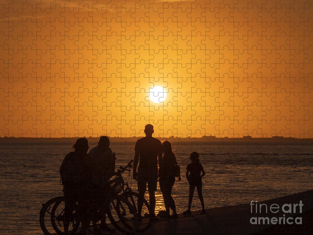 Sunset Jigsaw Puzzle featuring the photograph Sunset over Tampa Bay in Silhouette by L Bosco