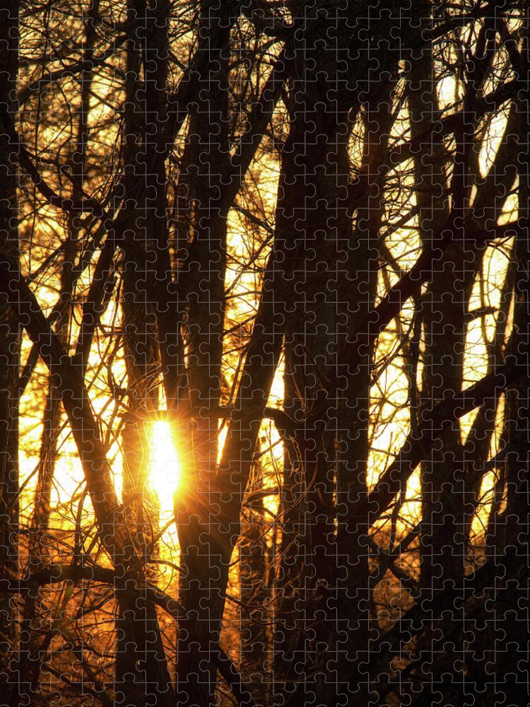 North Wilkesboro Jigsaw Puzzle featuring the photograph Sunset Through the Trees by Charles Floyd