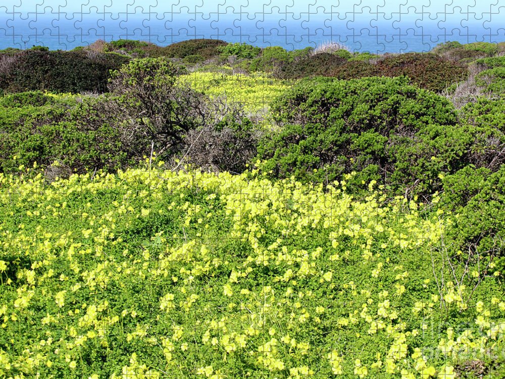 Super Bloom Jigsaw Puzzle featuring the photograph Superbloom on the Coastline by Katherine Erickson