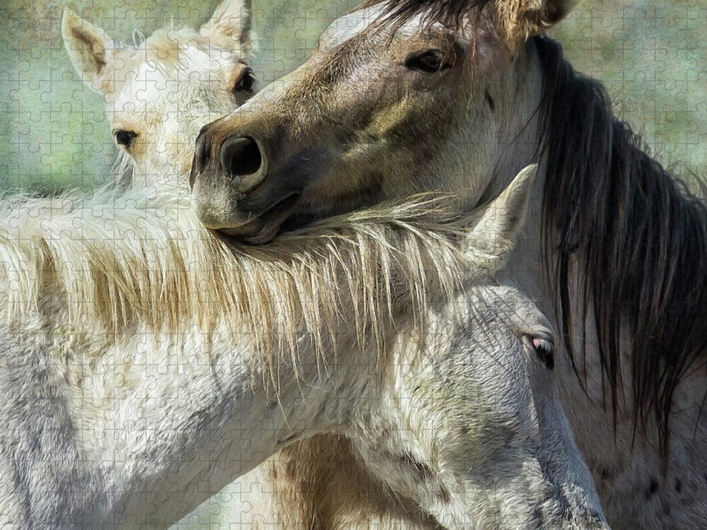 Wild Horses Jigsaw Puzzle featuring the photograph Surrounded by Love by Belinda Greb