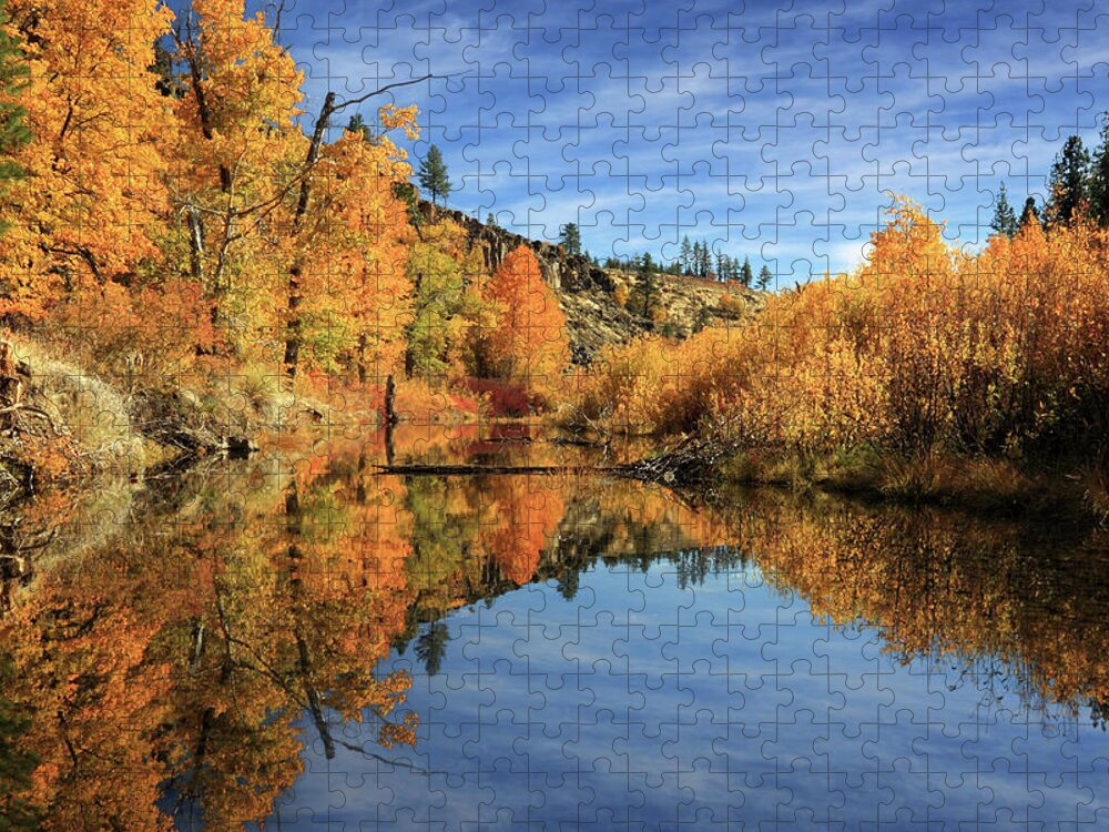 Autumn Jigsaw Puzzle featuring the photograph Susan River 11-3-12 by James Eddy
