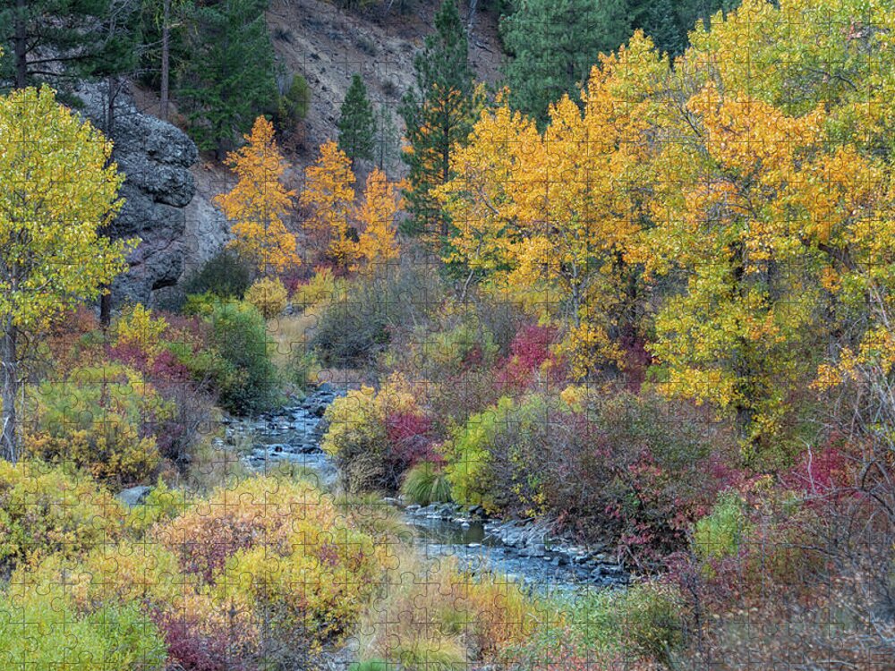 Susanville Jigsaw Puzzle featuring the photograph Susan River Fall Color by Randy Robbins