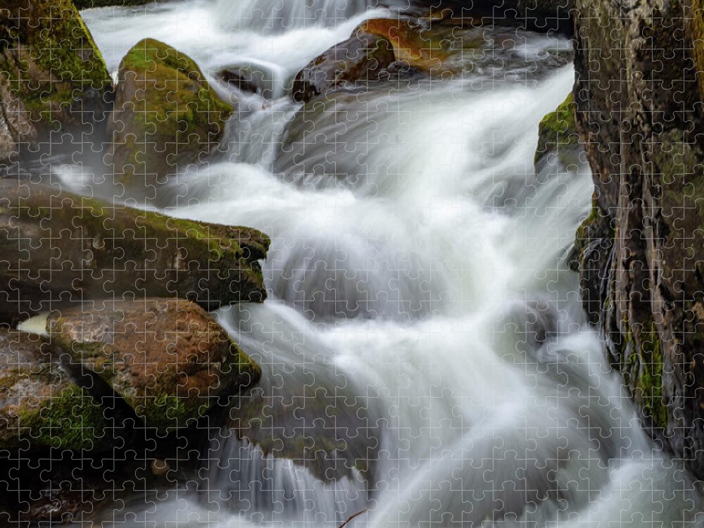 Waterfall Jigsaw Puzzle featuring the photograph Swallow Falls waterfall by Gareth Parkes