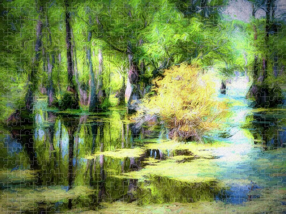 North Carolina Jigsaw Puzzle featuring the photograph Swamp of Many Colors ap by Dan Carmichael