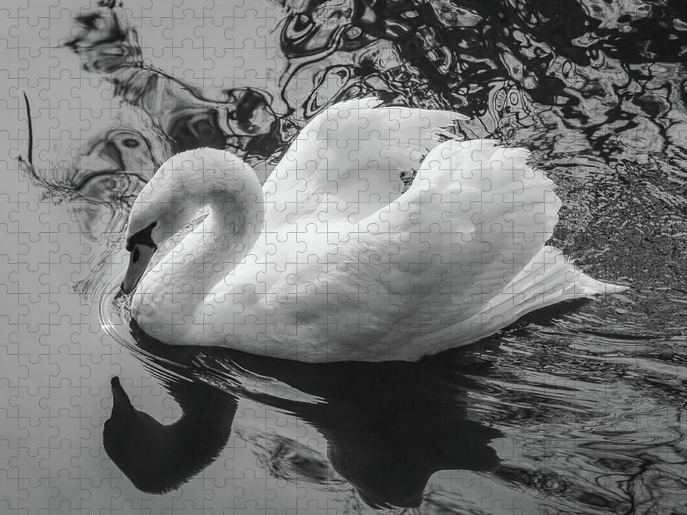 Sc Jigsaw Puzzle featuring the photograph Swan 6 by Cindy Robinson