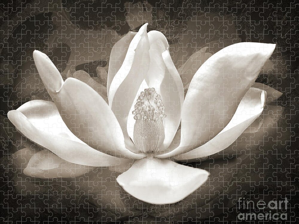 Rose Jigsaw Puzzle featuring the digital art Sweet Baby Magnolia - Black And White by Anthony Ellis