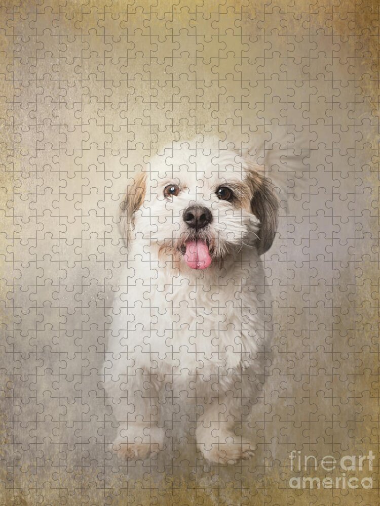 Shih-tzu Jigsaw Puzzle featuring the digital art Sweet Shih-Tzu by Elisabeth Lucas