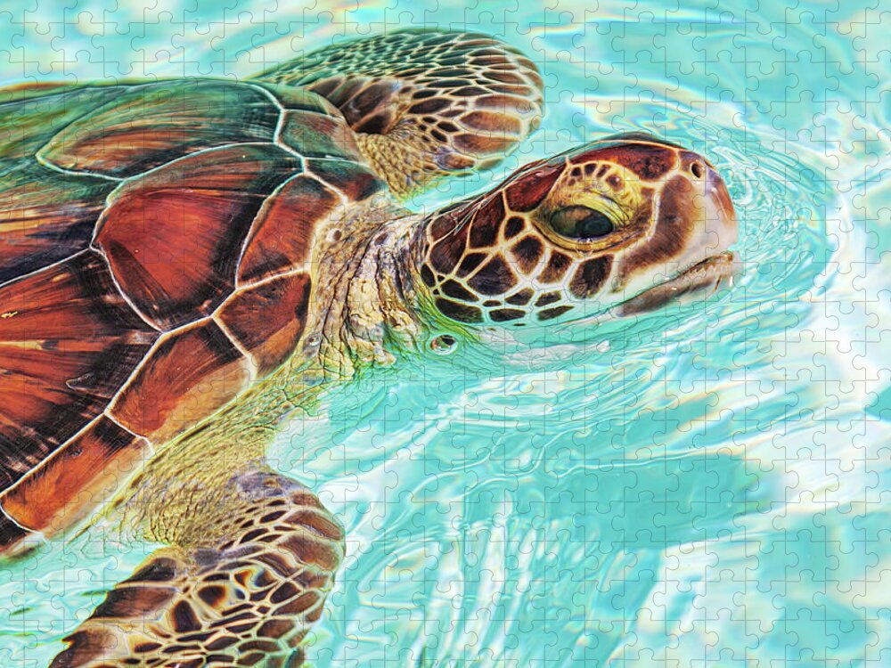 Turtle Jigsaw Puzzle featuring the photograph Swimming turtle by Tatiana Travelways