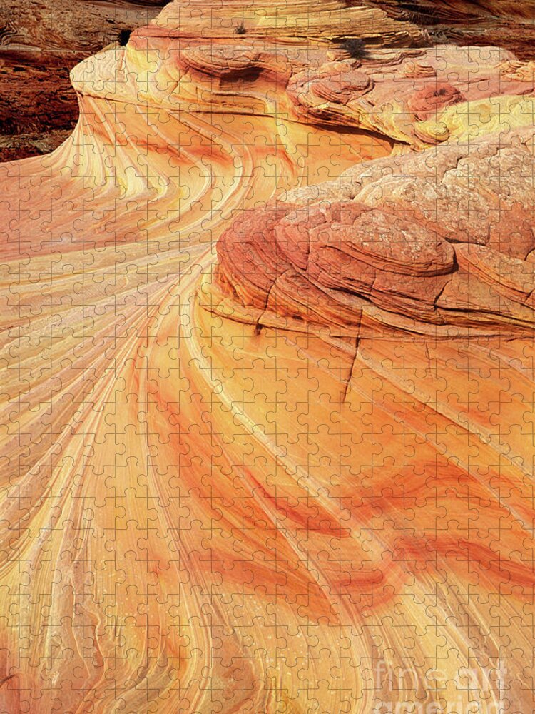 The Wave Jigsaw Puzzle featuring the photograph Swirls and patterns of sandstone fins in Coyote Butte, Arizona, USA by Neale And Judith Clark
